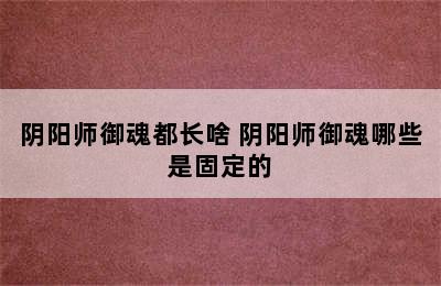 阴阳师御魂都长啥 阴阳师御魂哪些是固定的